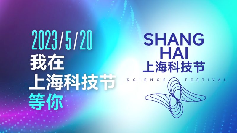软件测试工程师的工具链演进与选型逻辑